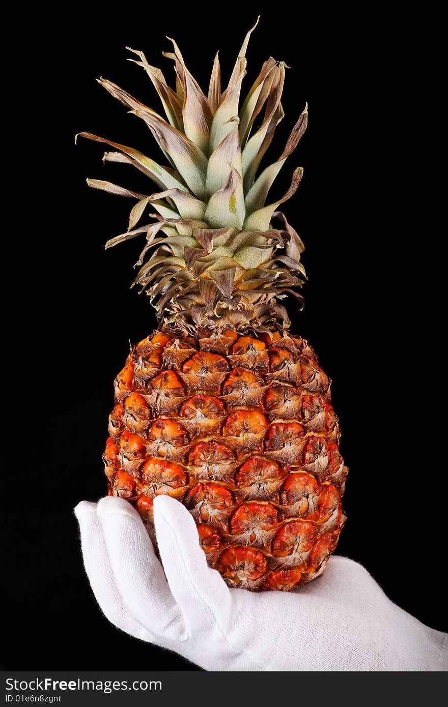 A Hand In White Glove Holding A Pineapple