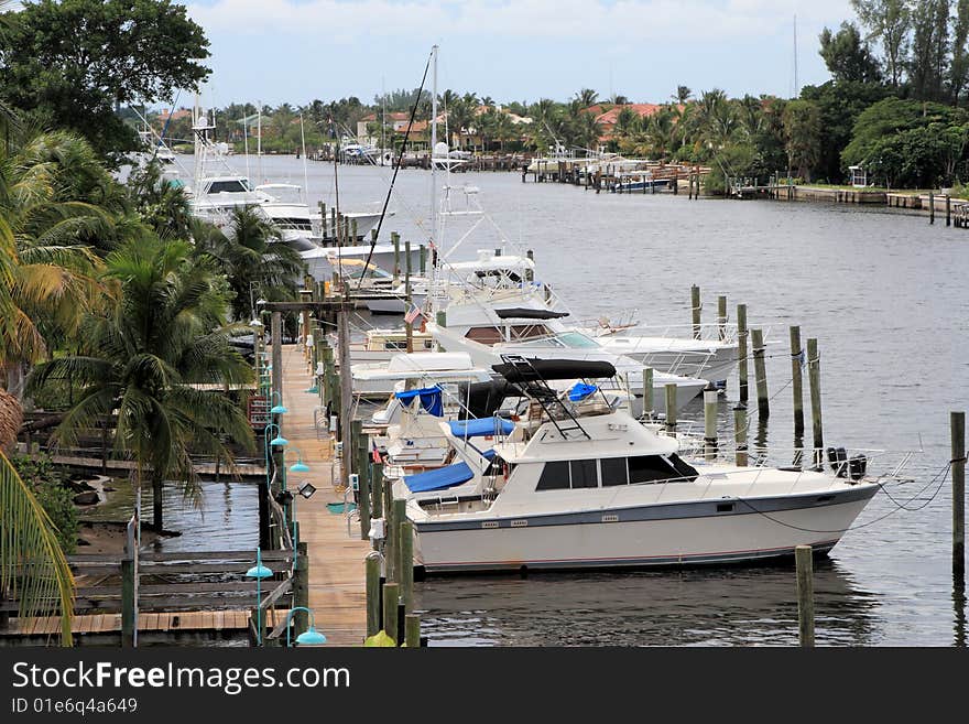 Tropical Marina on a florida canal