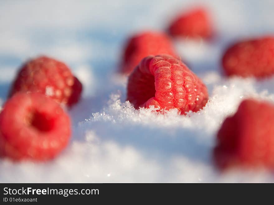 Tasty, fresh raspberries in the snow