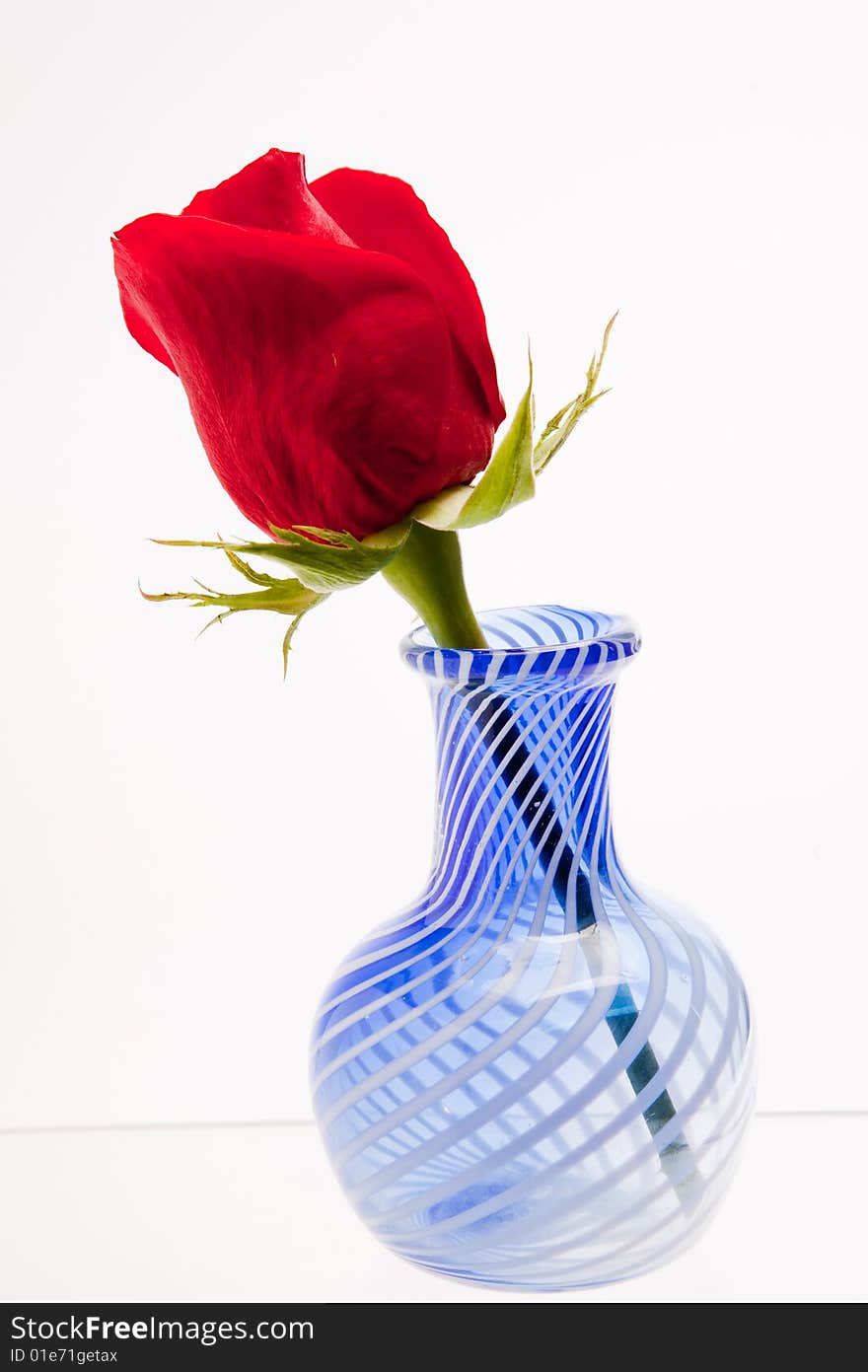 Small blue vase and a red rose on a white background. Small blue vase and a red rose on a white background