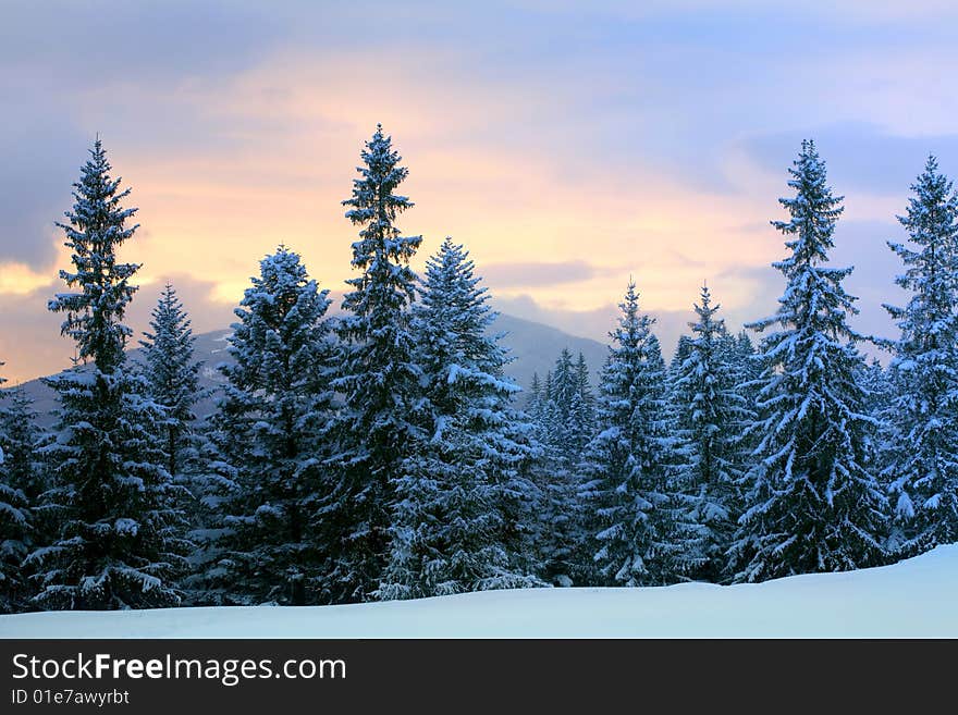 Stock photo: nature: an image of a beautiful twilight in winter forest