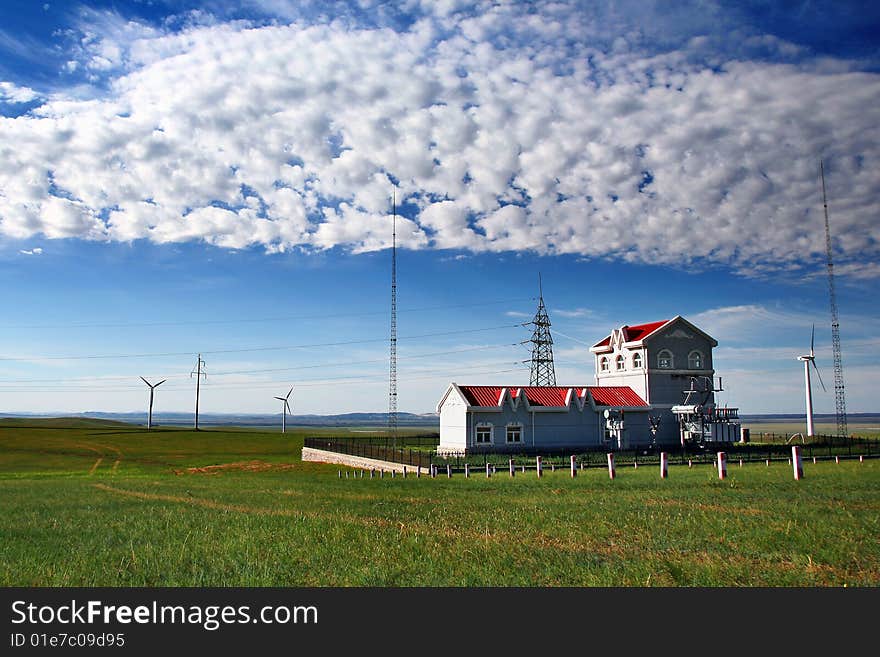 Grassland summer