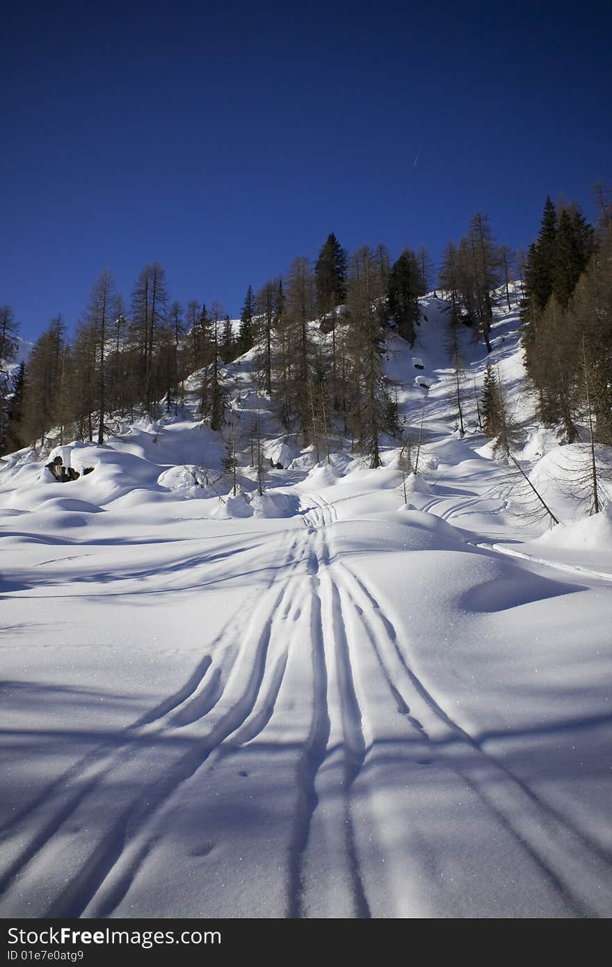 Traces on the snow