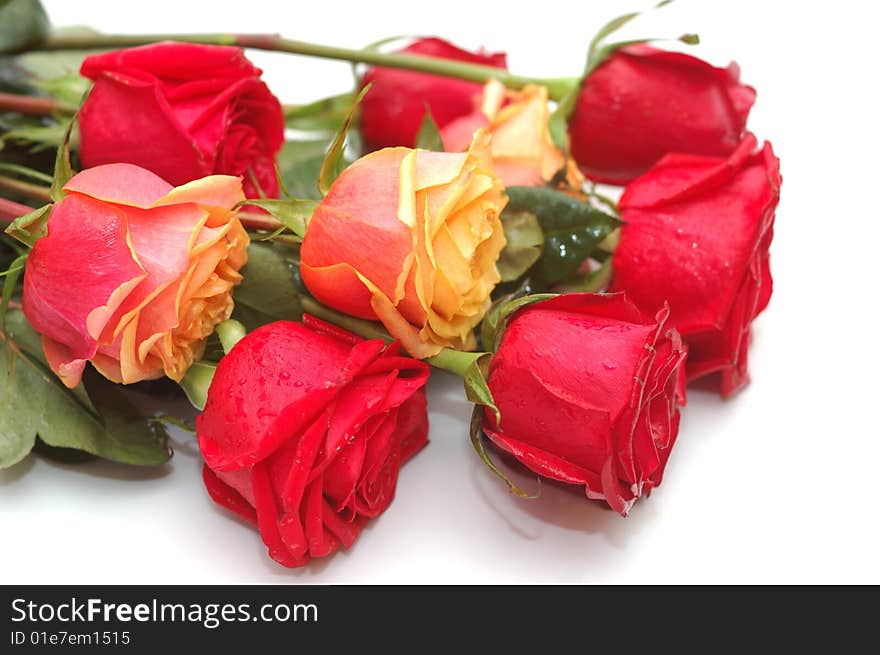 Bouquet of red and yellow roses on the white background