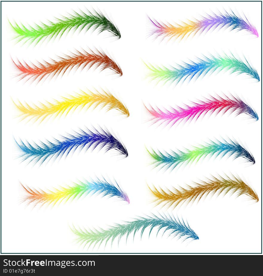 Many species of colorful fur. Vectors illustration