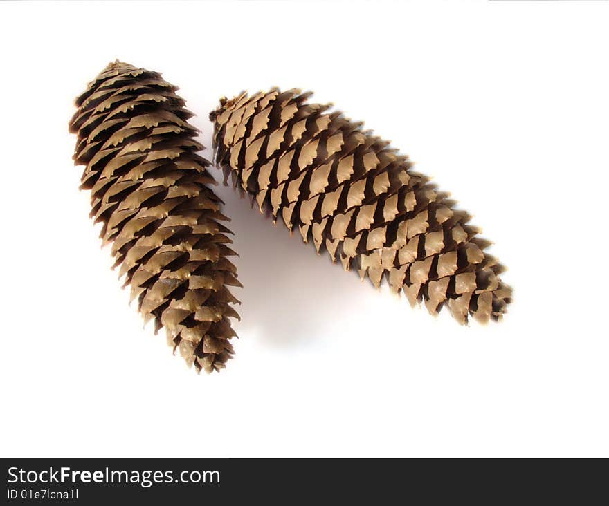 Pine Cones Isolated On White