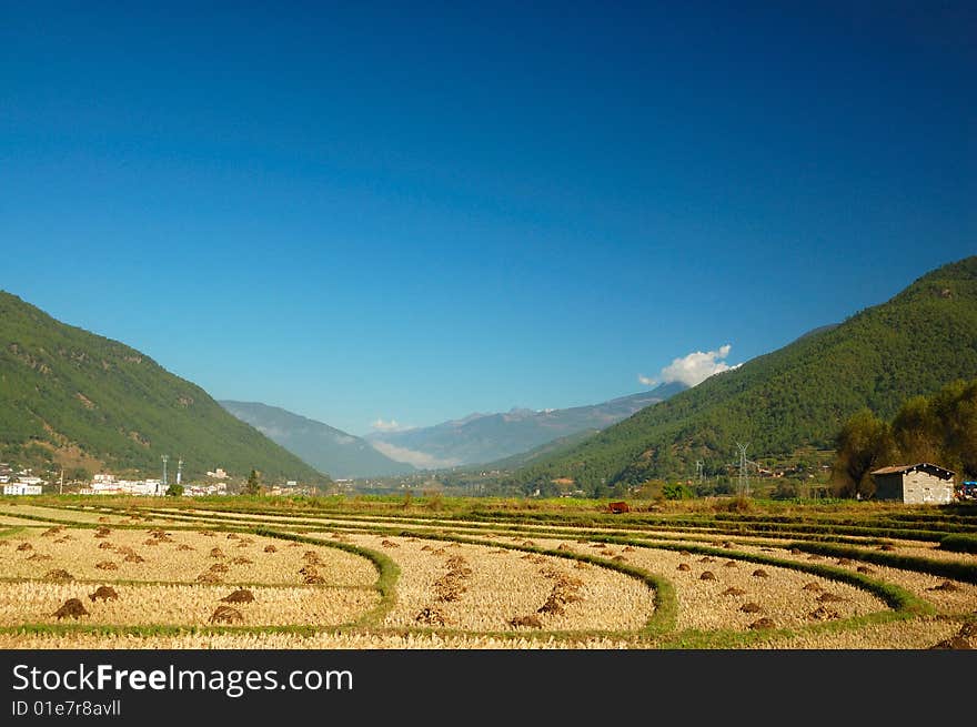 Circular field near lijiang alongside yangtse