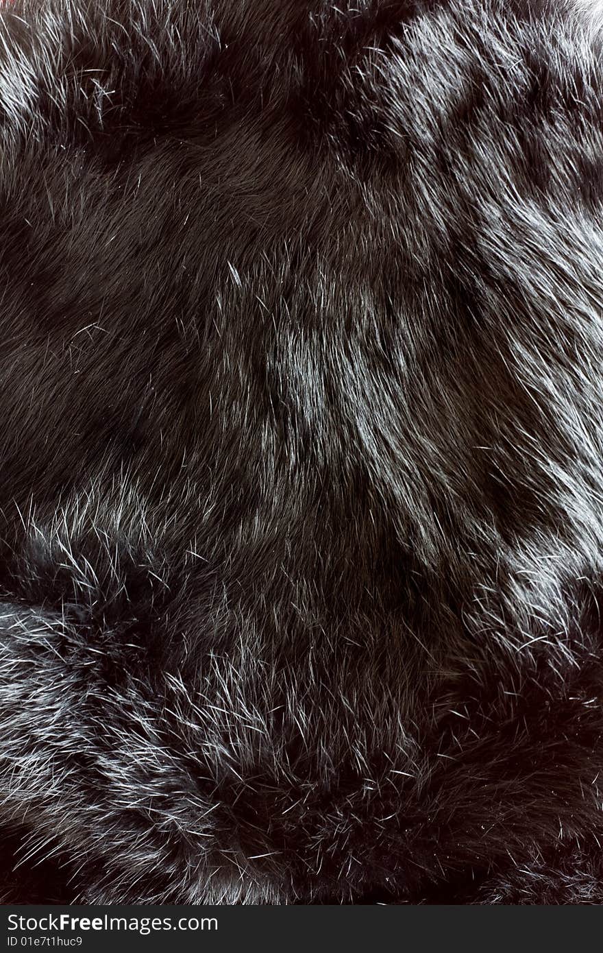 Fur texture close up used for background or texture