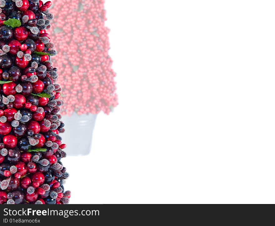 Two red berry Christmas on a white background. Two red berry Christmas on a white background