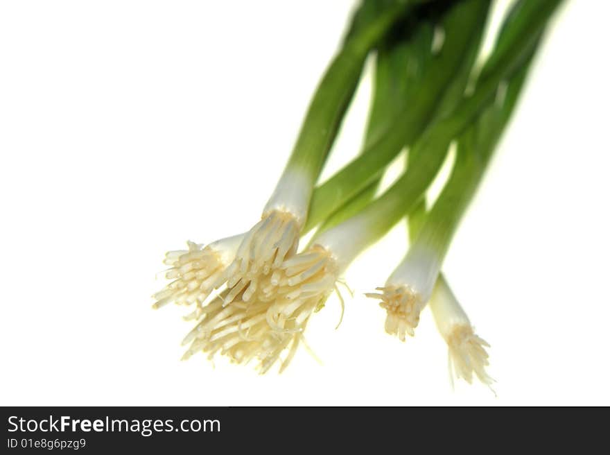 Chives