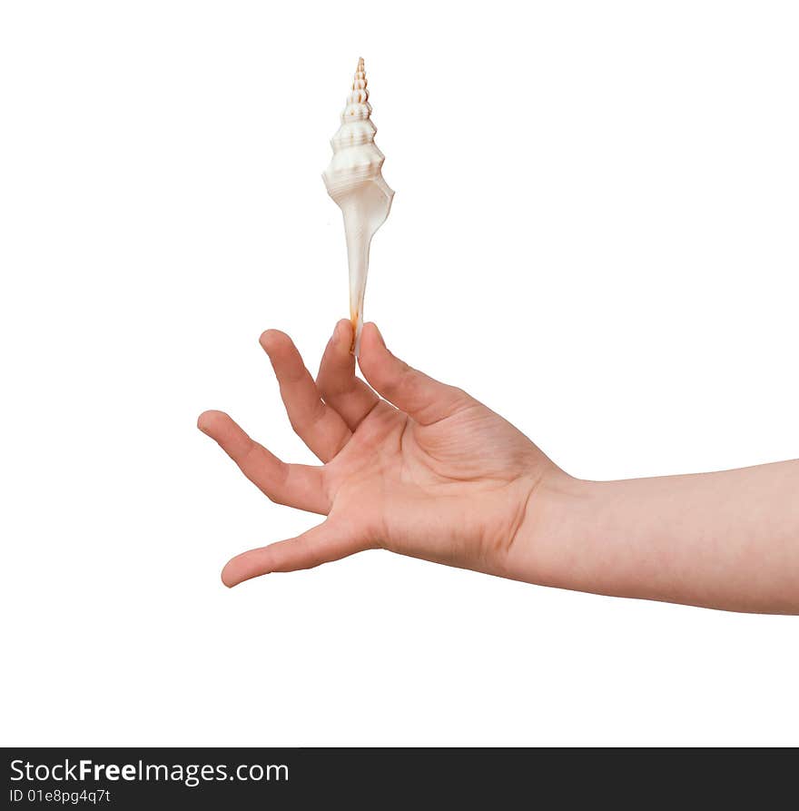 Girl's hand holding  a  seashell isolated on white background