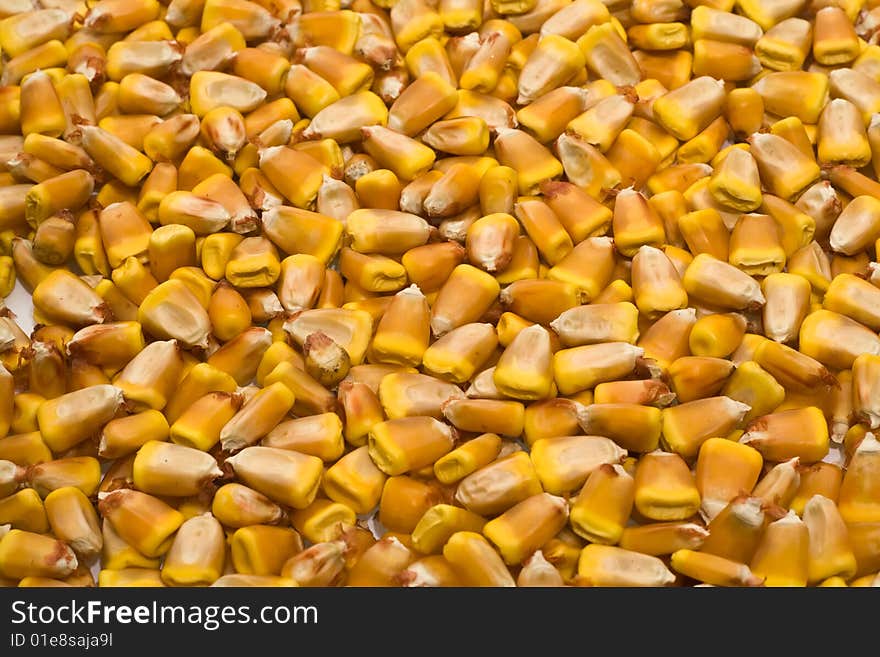 Grains of corn are in a large number. Grains of corn are in a large number