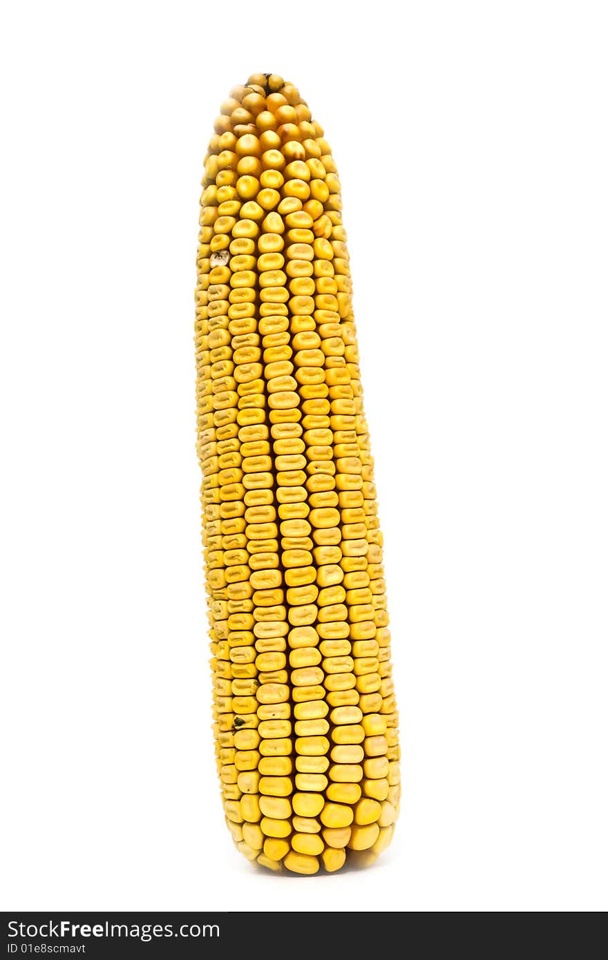 Vertical corn