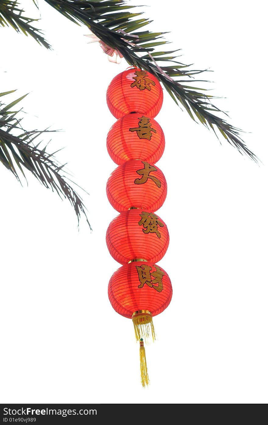 The lanterns string hung on the tree with benidiction characters celebrating the coming of the Chinese traditional new year and spring festival. The lanterns string hung on the tree with benidiction characters celebrating the coming of the Chinese traditional new year and spring festival.