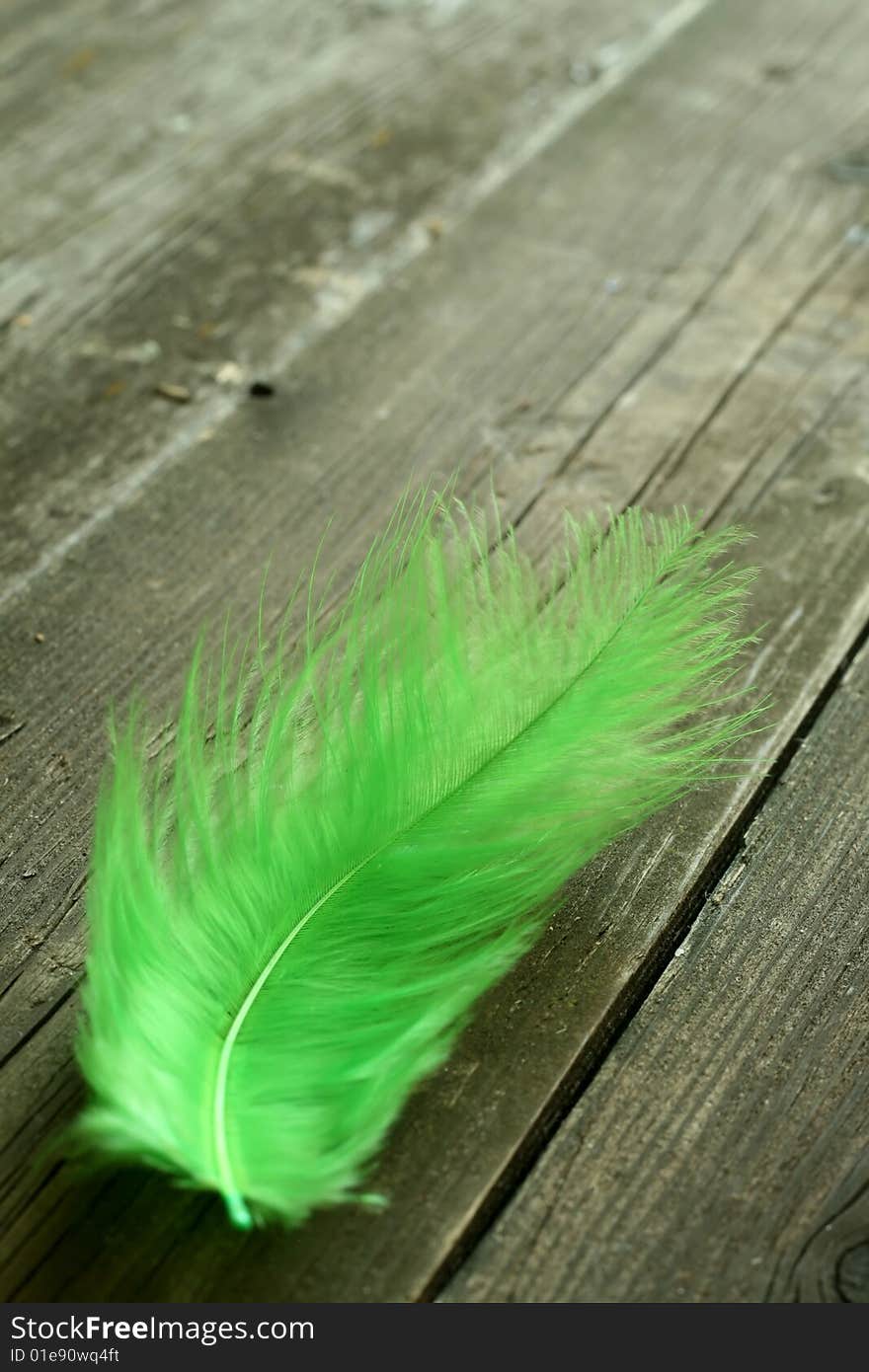 Green feather on old wooden background, closeup