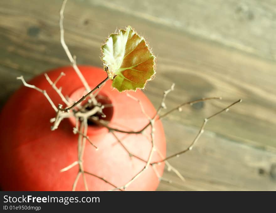 Green leaf on dry twigs in a clay vase on old wooden