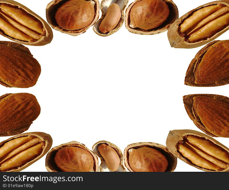 Collection of walnut on white background