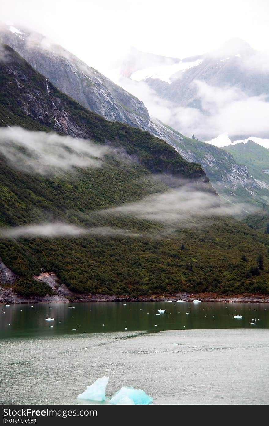 Tracy arm fiord