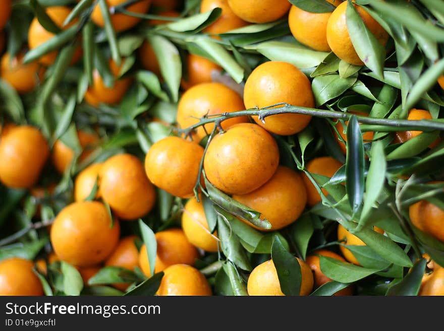 Chinese Oranges