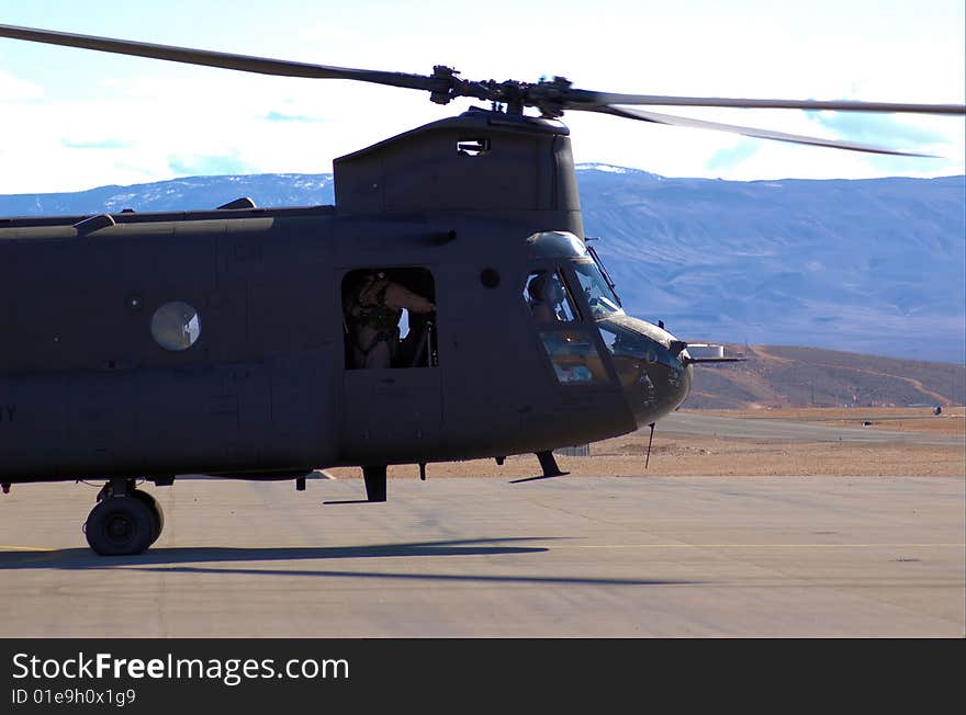 Chinook Nose