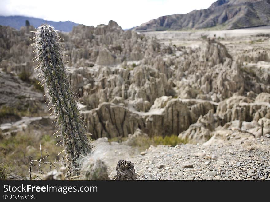 Valley Of The Moon