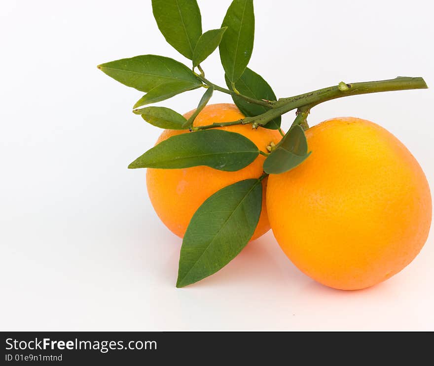 A small brunch with couple fresh oranges and few green leaves