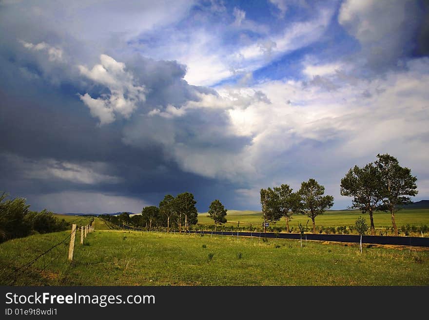 The grassland with beautiful clouds. The grassland with beautiful clouds