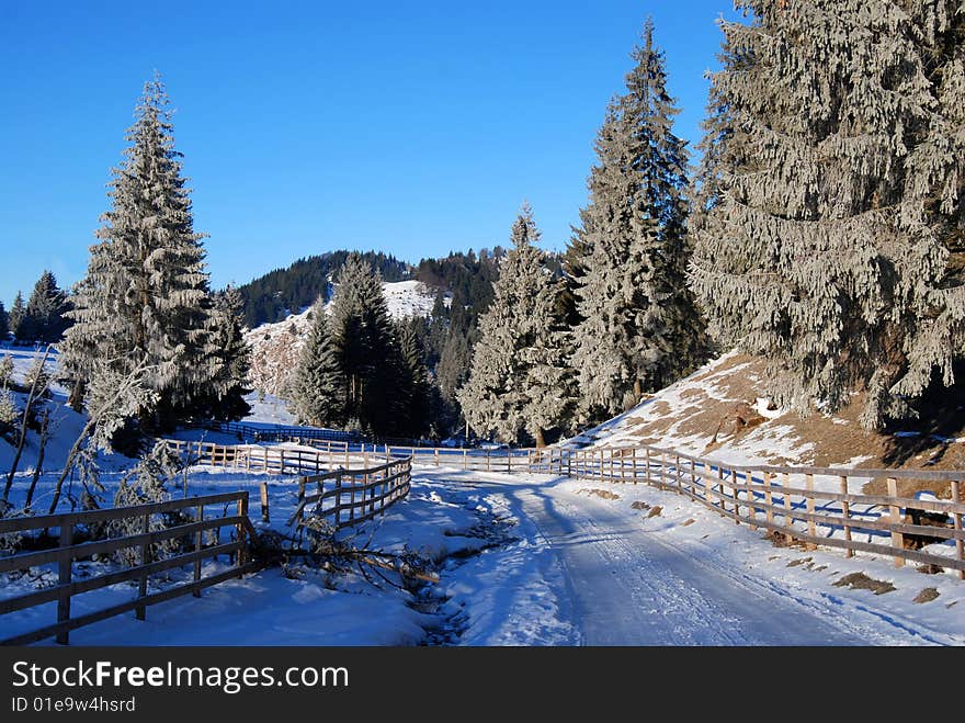 Winter Road In Mountains