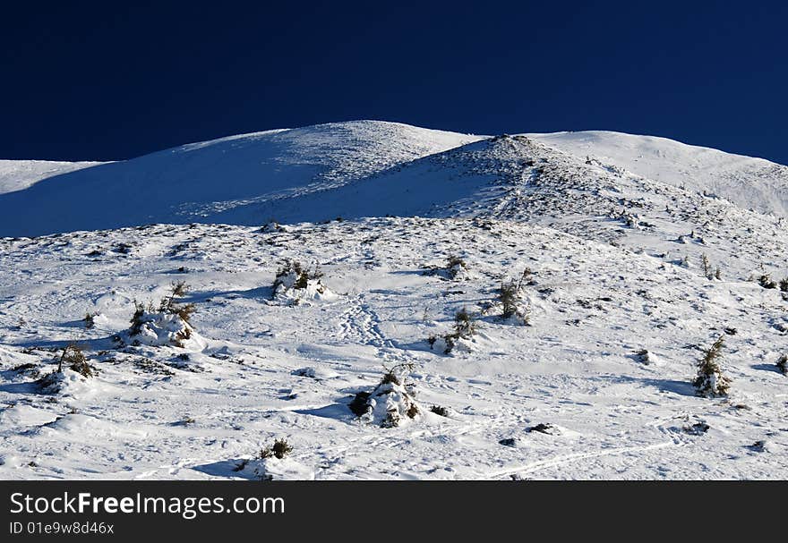 Winter landscape in Carpathian Mountains