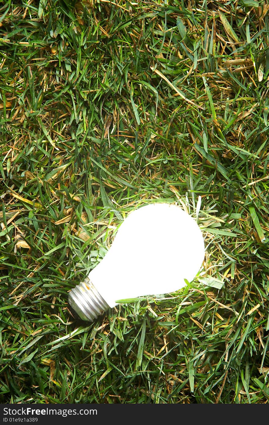 Green Light Bulb glowing in the grass