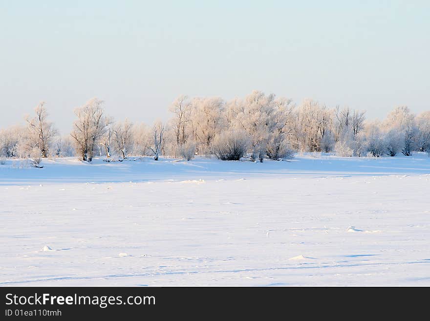 Winter landscape. Freezing morning. Snow landscape. Winter landscape. Freezing morning. Snow landscape.