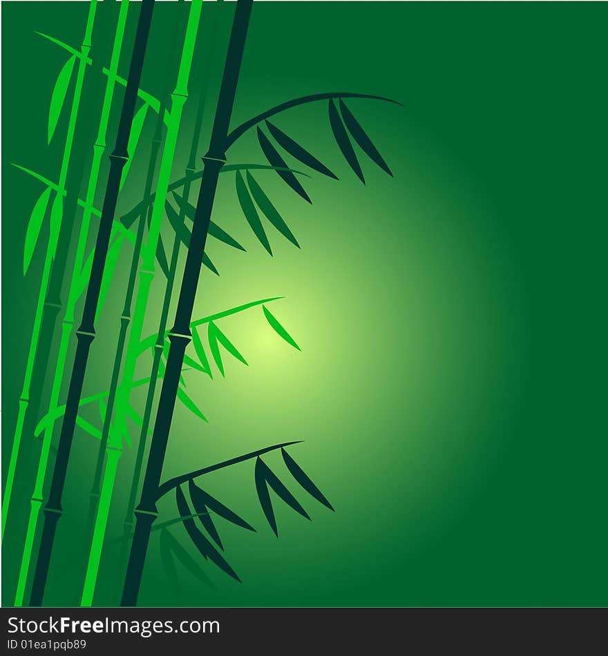 Bamboo