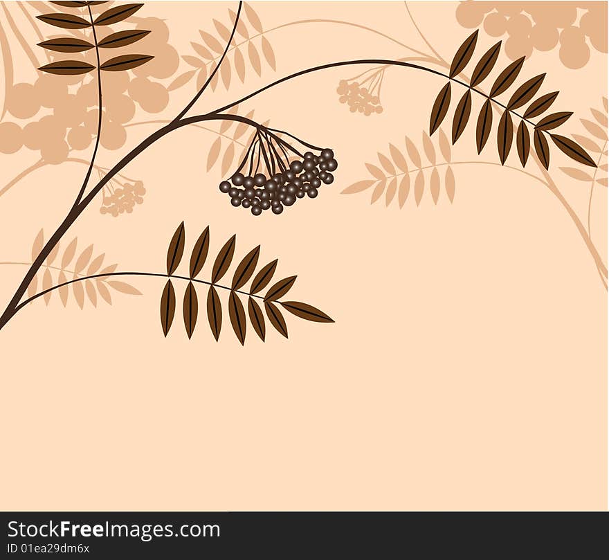 Branch of a plant (mountain ash), the Japanese style, background