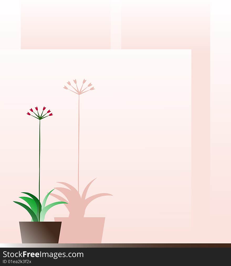 Flower in a pot on a pink background