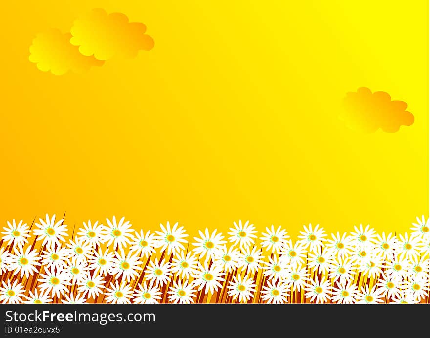 The flowers, clouds and a grass, a background