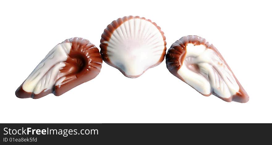 The image of sweet chocolate candies in the form of marine shellfish isolated on a white background