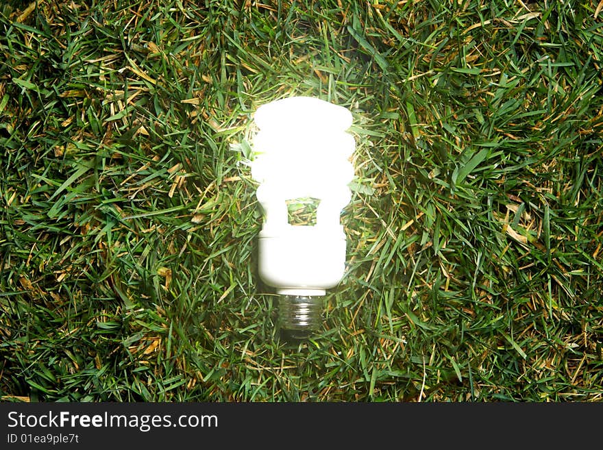 Green Light Bulb glowing in the grass