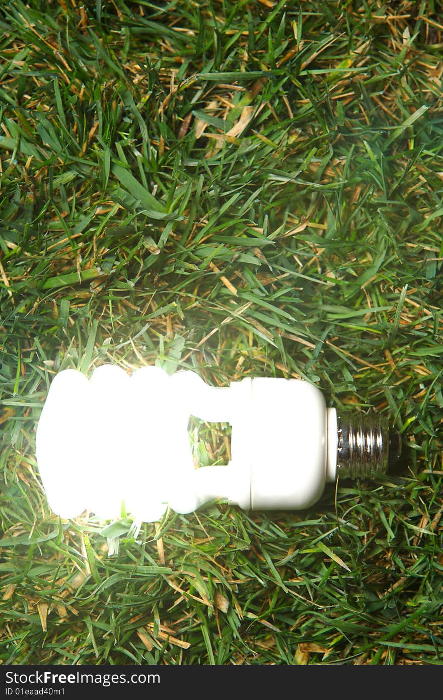 Green Light Bulb