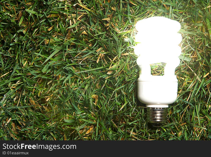 Green Light Bulb glowing in the grass