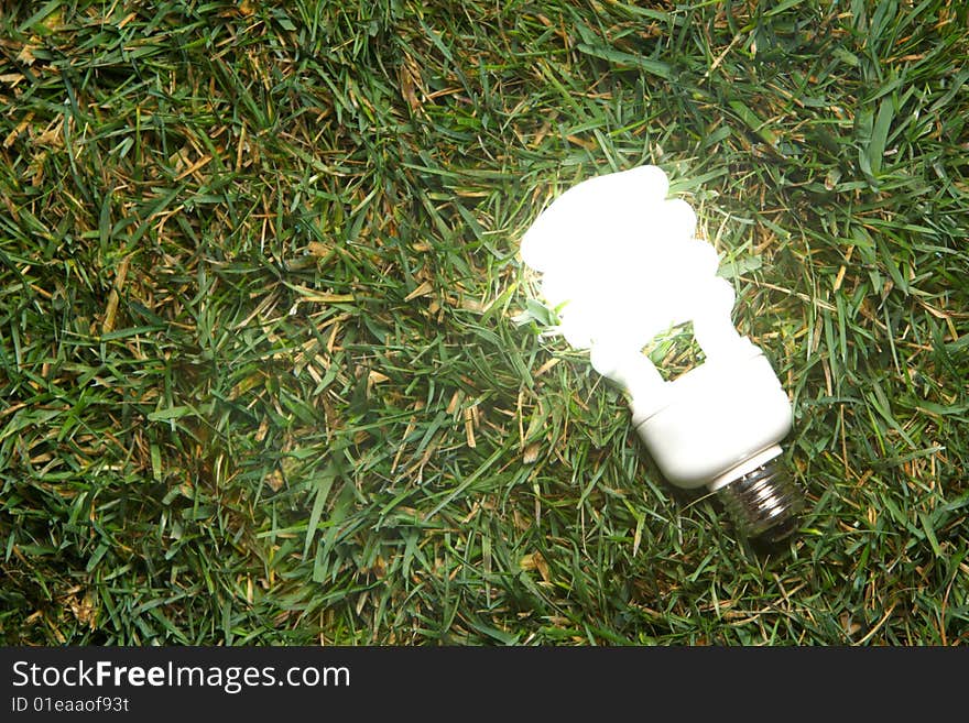 Green Light Bulb glowing in the grass