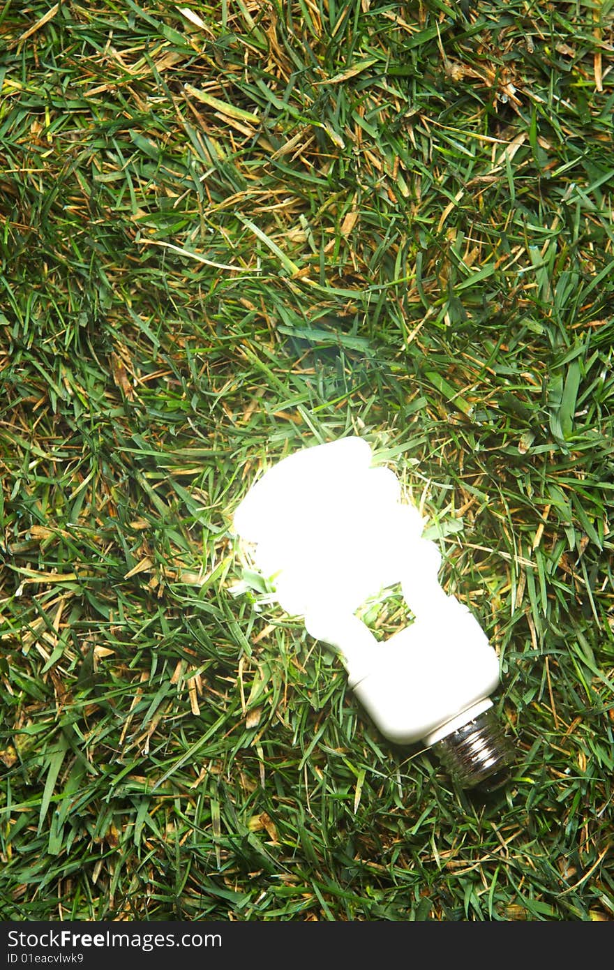 Green Light Bulb glowing in the grass