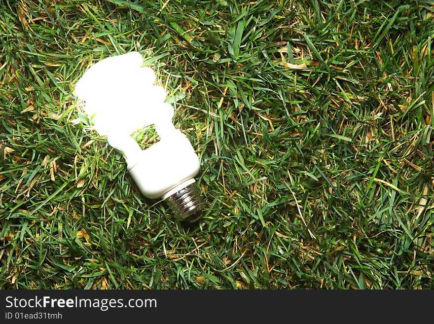 Green Light Bulb glowing in the grass