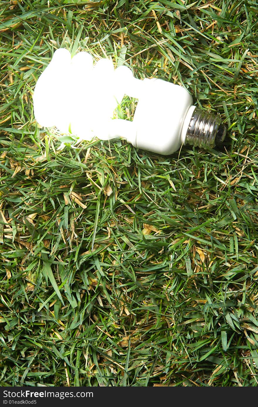 Green Light Bulb glowing in the grass