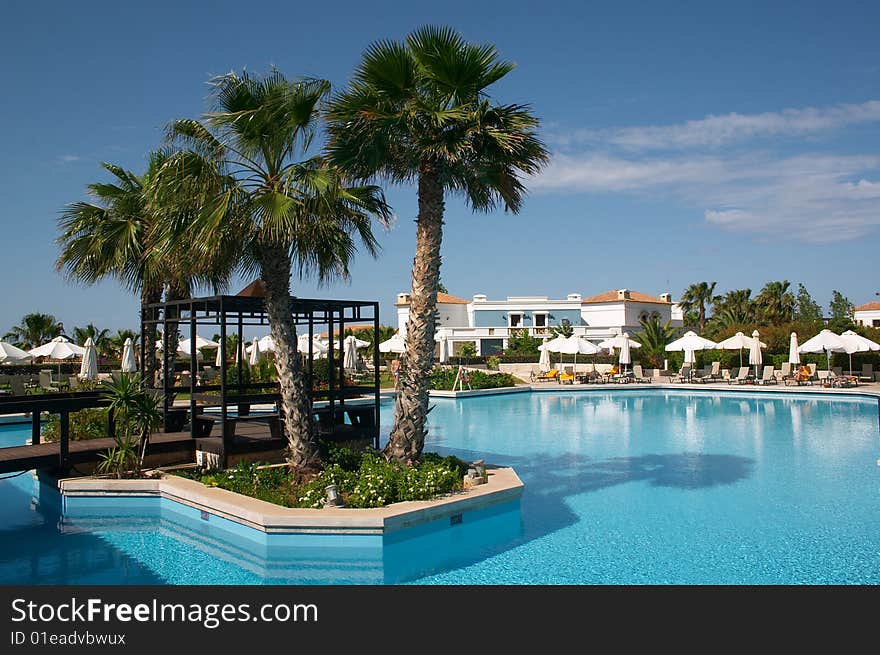 Palm tree in swimming pool. Palm tree in swimming pool