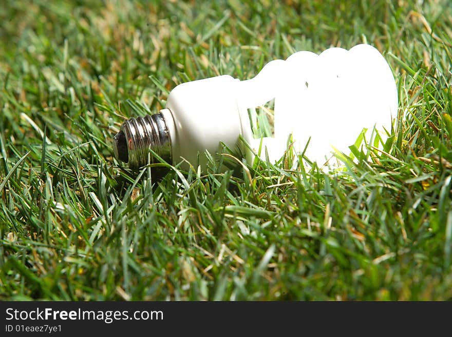 Green Light Bulb glowing in the grass