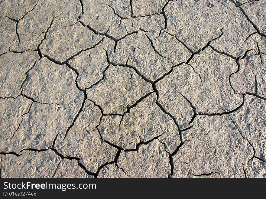 Parched crannied earth