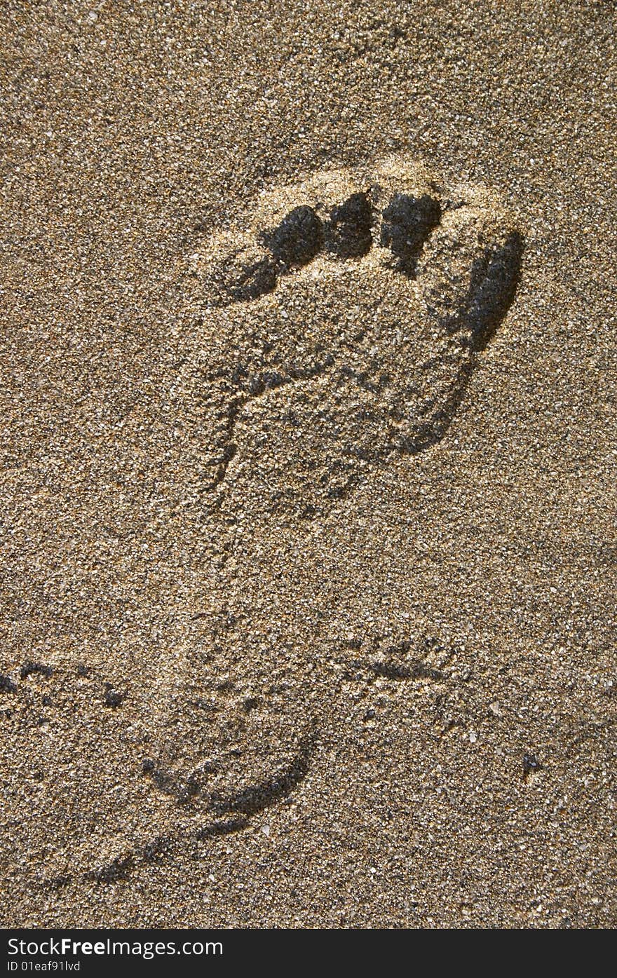 Footprint On Sand