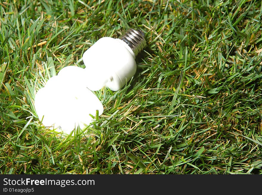 Green Light Bulb glowing in the grass