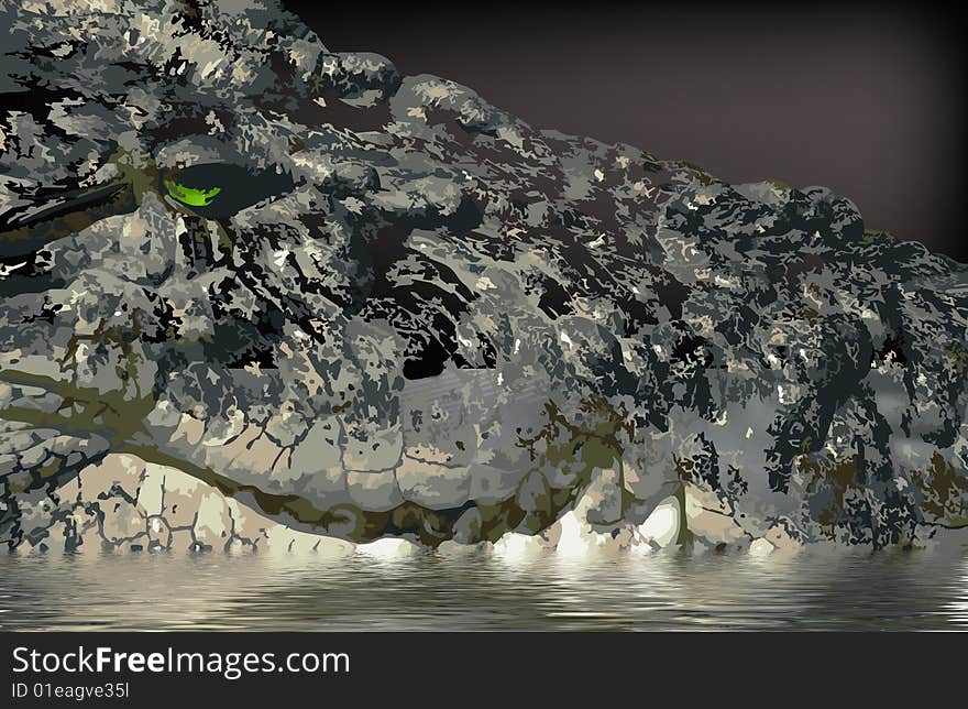 Crocodile presentation in this graphic illustration.