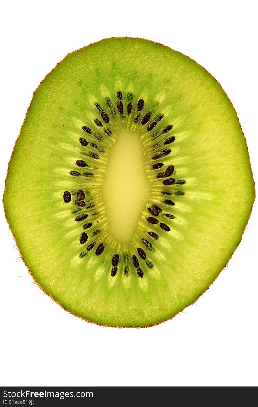 Kiwi Slice